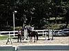 2004-10-13_Autumn-horseback 371.JPG
